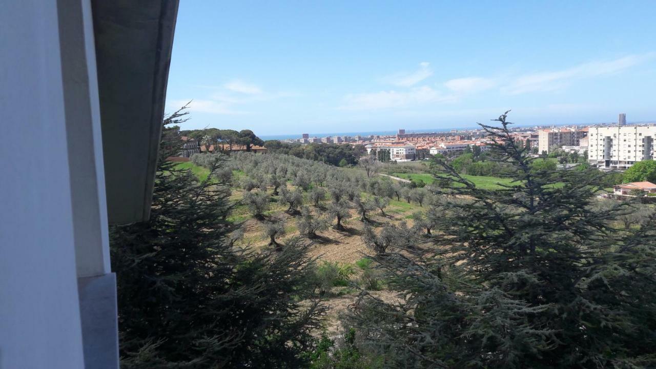 Dolci Ricordi Apartment ลีวอร์โน ภายนอก รูปภาพ