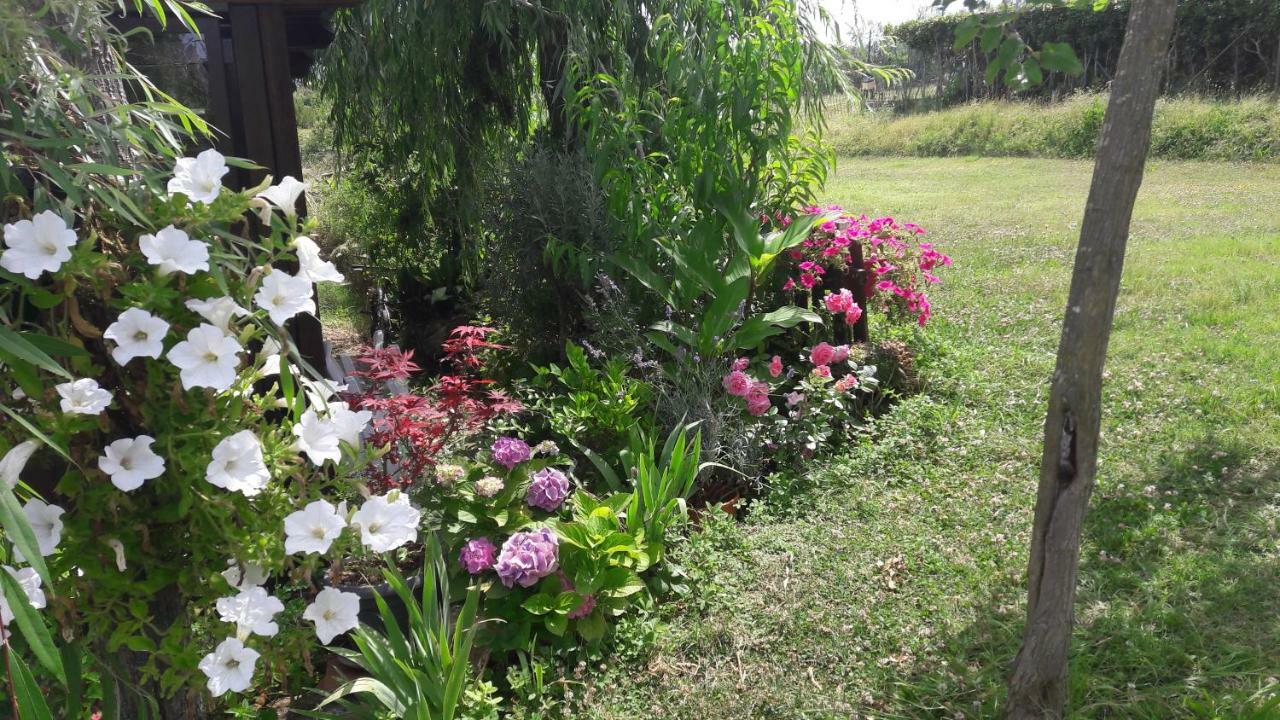 Dolci Ricordi Apartment ลีวอร์โน ภายนอก รูปภาพ