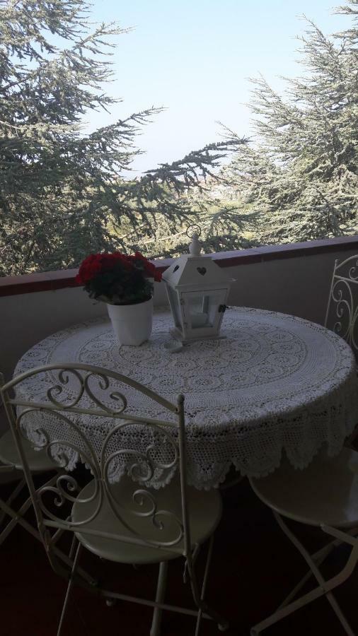 Dolci Ricordi Apartment ลีวอร์โน ภายนอก รูปภาพ